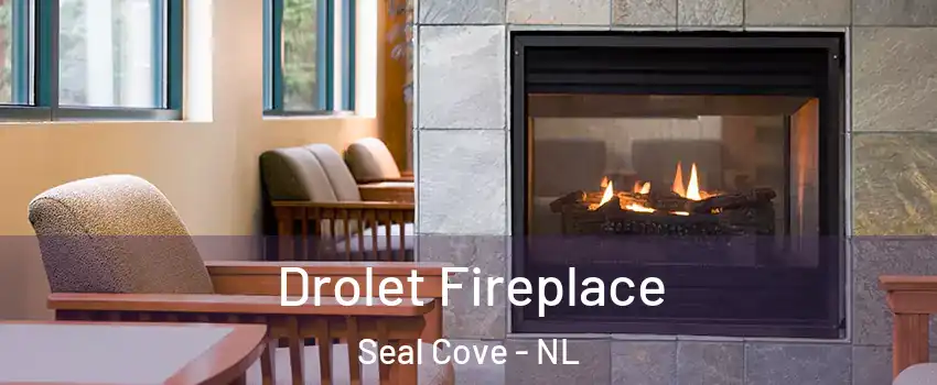  Drolet Fireplace Seal Cove - NL