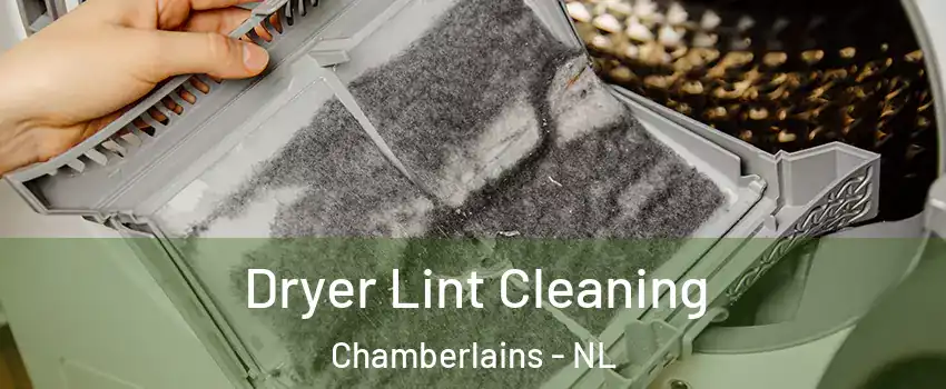  Dryer Lint Cleaning Chamberlains - NL