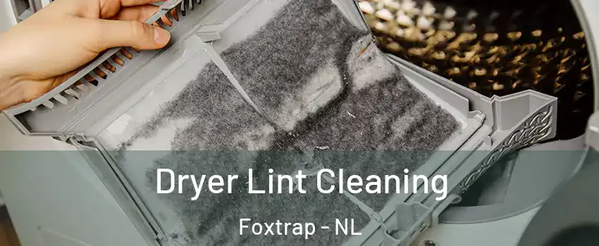  Dryer Lint Cleaning Foxtrap - NL