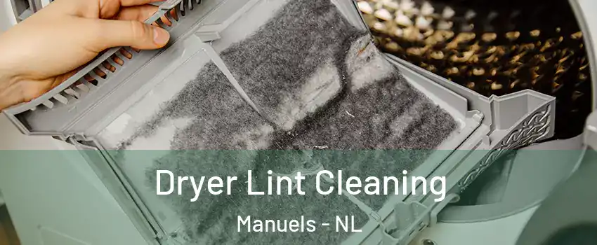  Dryer Lint Cleaning Manuels - NL