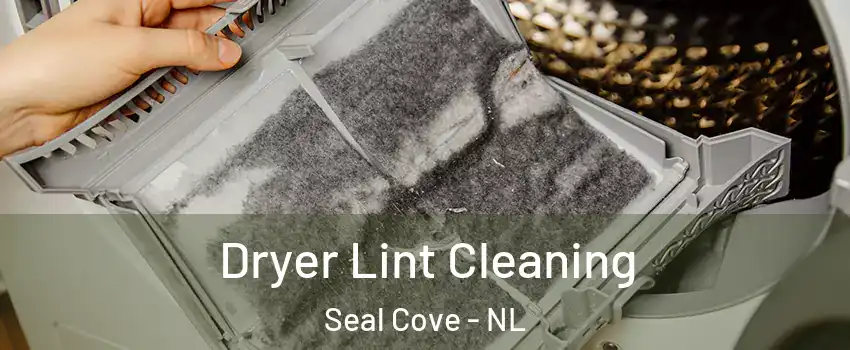  Dryer Lint Cleaning Seal Cove - NL
