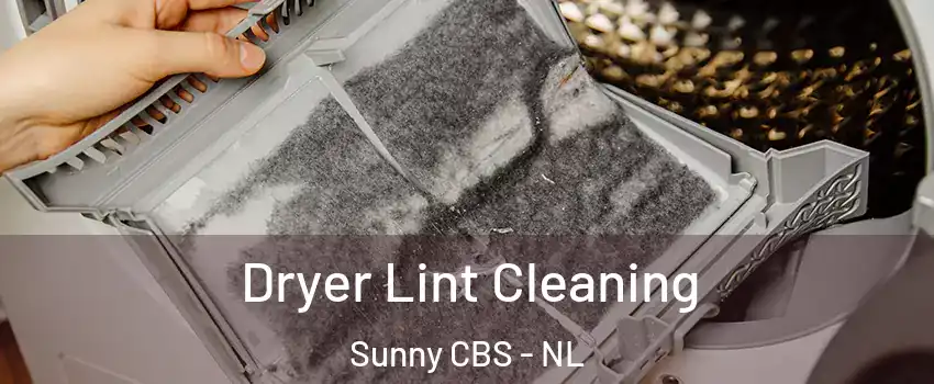  Dryer Lint Cleaning Sunny CBS - NL