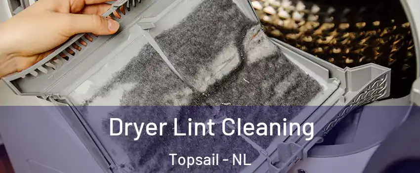  Dryer Lint Cleaning Topsail - NL