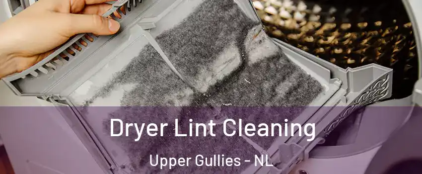  Dryer Lint Cleaning Upper Gullies - NL