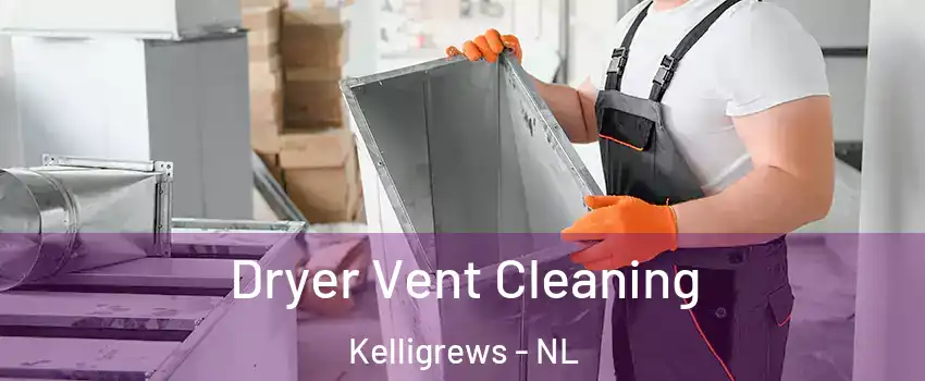  Dryer Vent Cleaning Kelligrews - NL