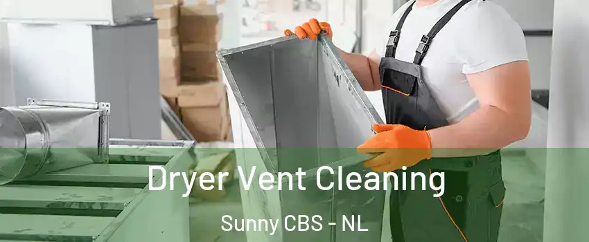  Dryer Vent Cleaning Sunny CBS - NL