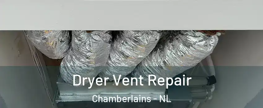  Dryer Vent Repair Chamberlains - NL