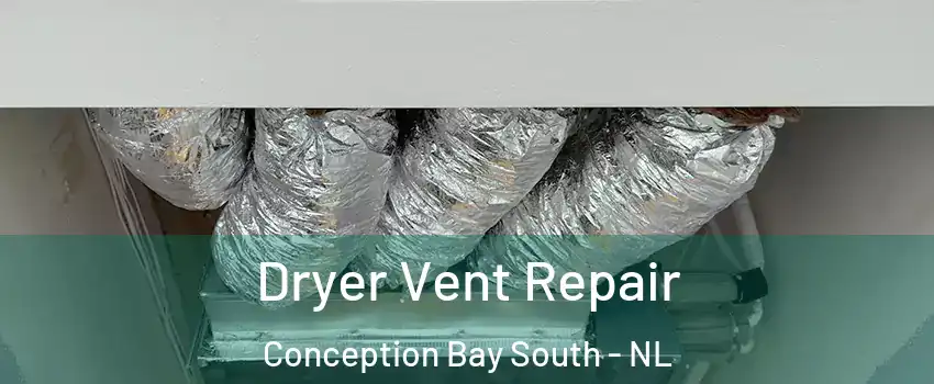  Dryer Vent Repair Conception Bay South - NL