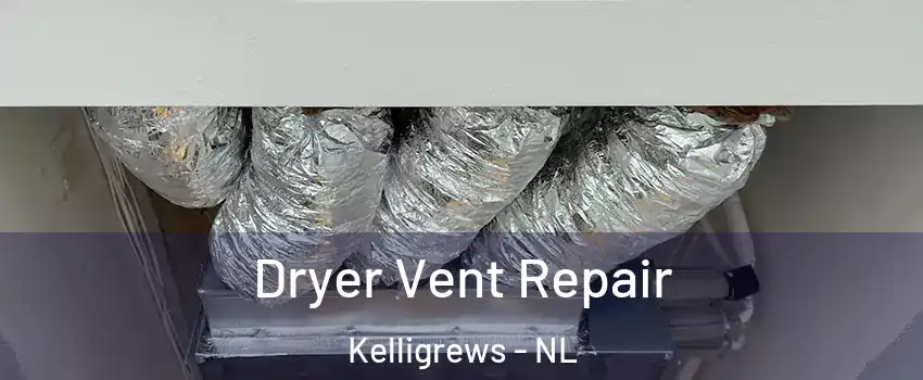  Dryer Vent Repair Kelligrews - NL