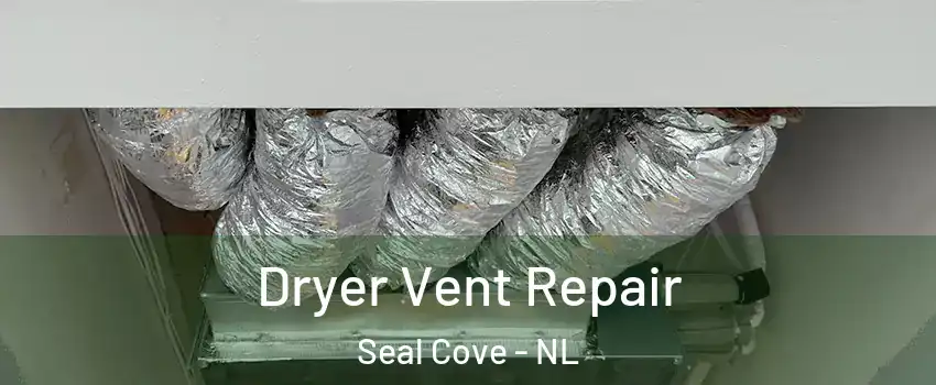  Dryer Vent Repair Seal Cove - NL