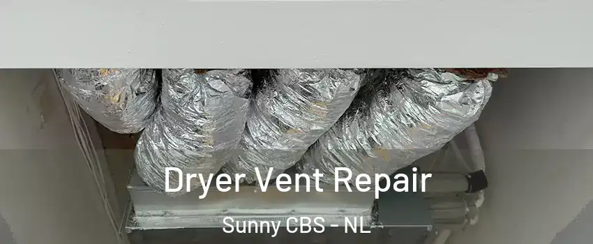  Dryer Vent Repair Sunny CBS - NL