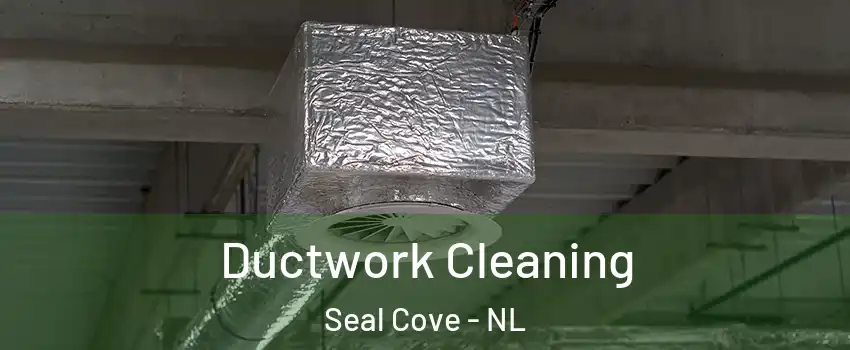  Ductwork Cleaning Seal Cove - NL