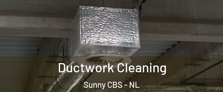  Ductwork Cleaning Sunny CBS - NL
