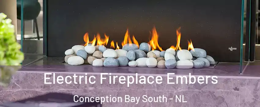  Electric Fireplace Embers Conception Bay South - NL