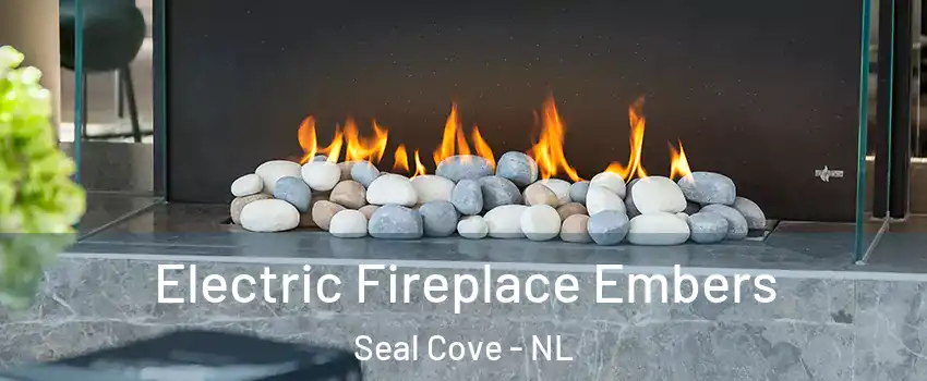  Electric Fireplace Embers Seal Cove - NL