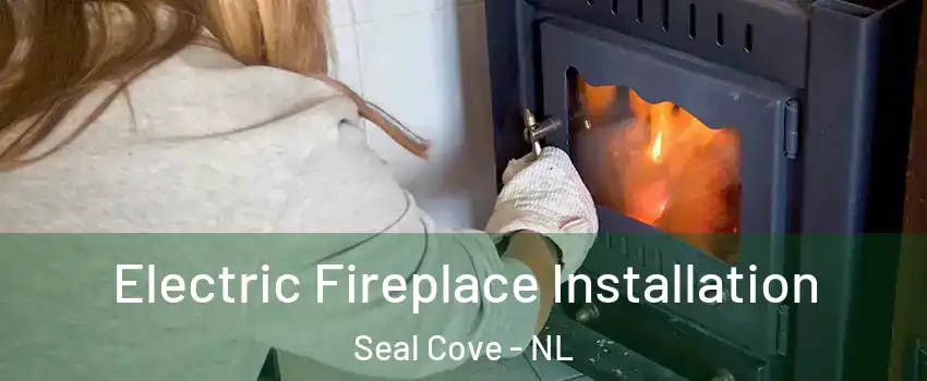  Electric Fireplace Installation Seal Cove - NL