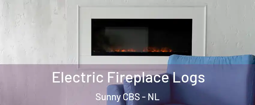  Electric Fireplace Logs Sunny CBS - NL