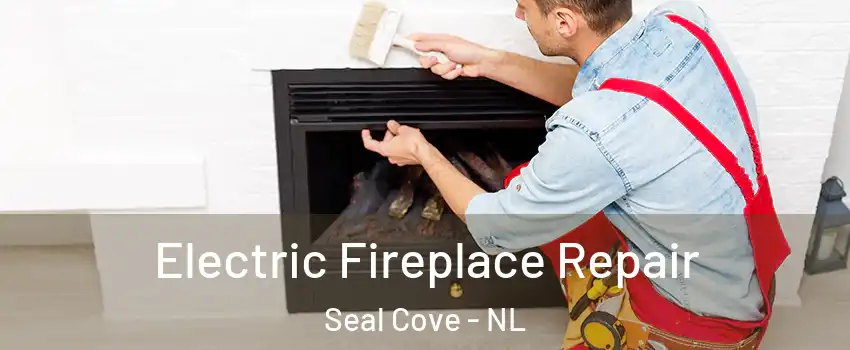  Electric Fireplace Repair Seal Cove - NL