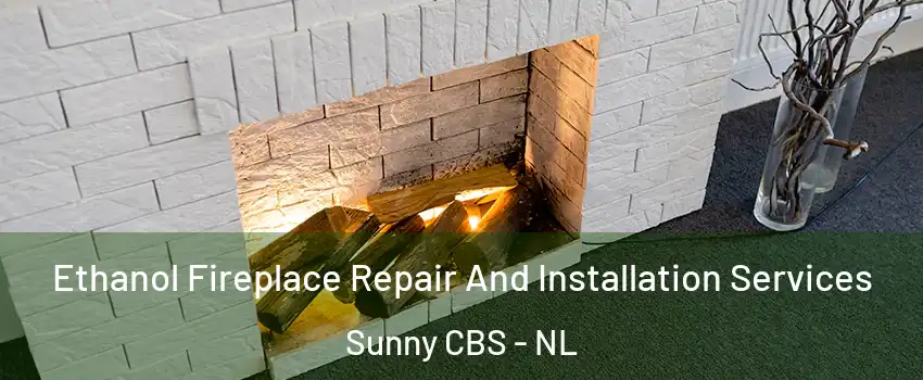  Ethanol Fireplace Repair And Installation Services Sunny CBS - NL