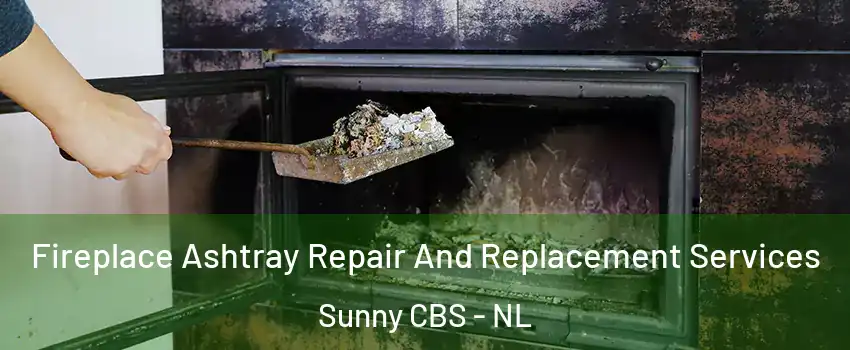  Fireplace Ashtray Repair And Replacement Services Sunny CBS - NL