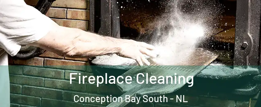  Fireplace Cleaning Conception Bay South - NL