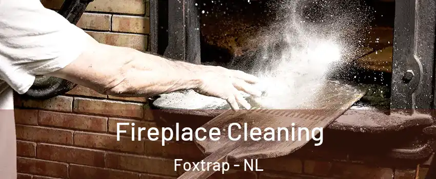  Fireplace Cleaning Foxtrap - NL