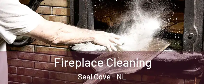  Fireplace Cleaning Seal Cove - NL