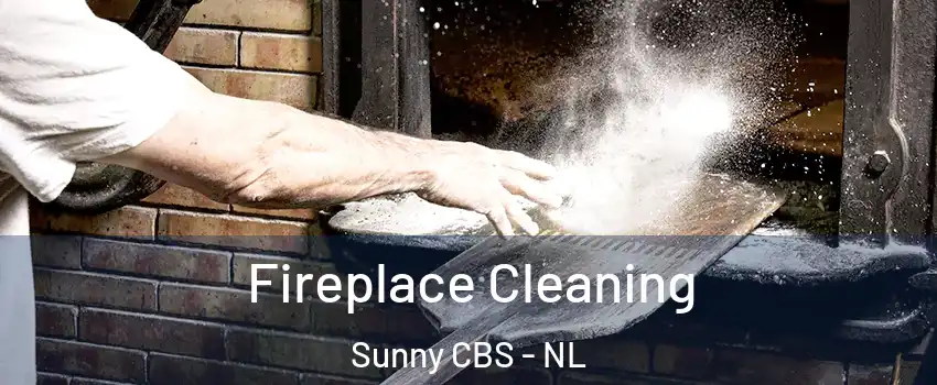  Fireplace Cleaning Sunny CBS - NL