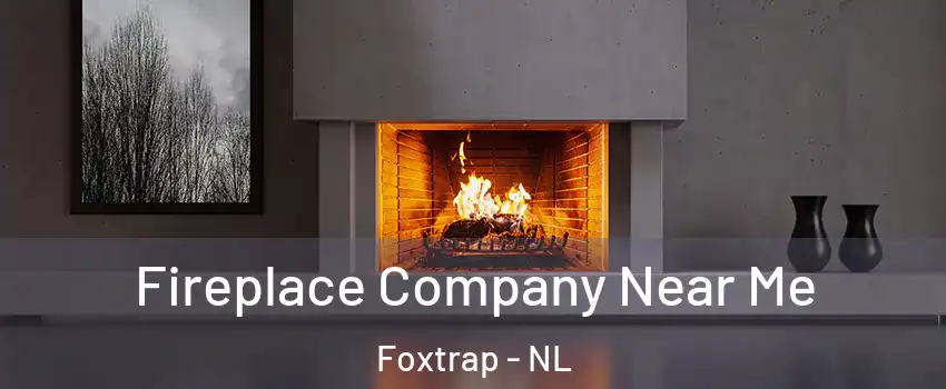  Fireplace Company Near Me Foxtrap - NL