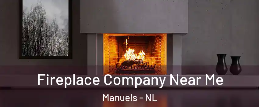  Fireplace Company Near Me Manuels - NL