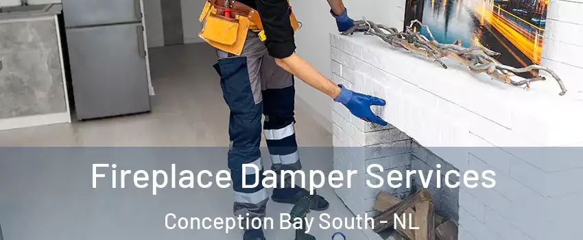 Fireplace Damper Services Conception Bay South - NL