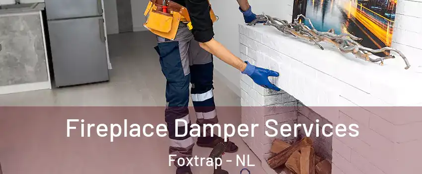  Fireplace Damper Services Foxtrap - NL