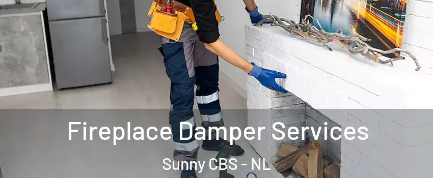  Fireplace Damper Services Sunny CBS - NL