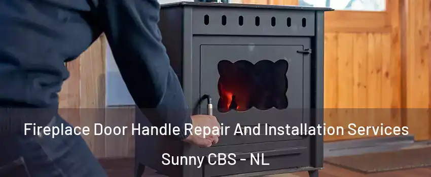  Fireplace Door Handle Repair And Installation Services Sunny CBS - NL