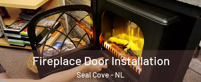  Fireplace Door Installation Seal Cove - NL