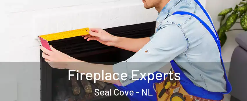  Fireplace Experts Seal Cove - NL