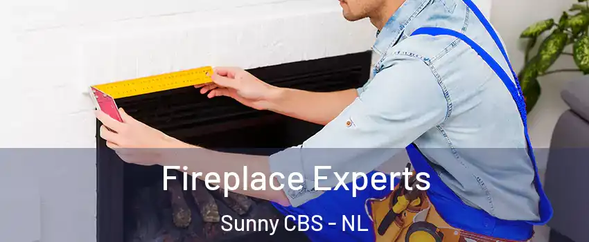  Fireplace Experts Sunny CBS - NL