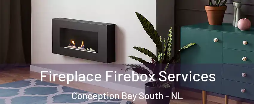 Fireplace Firebox Services Conception Bay South - NL