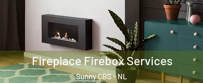  Fireplace Firebox Services Sunny CBS - NL