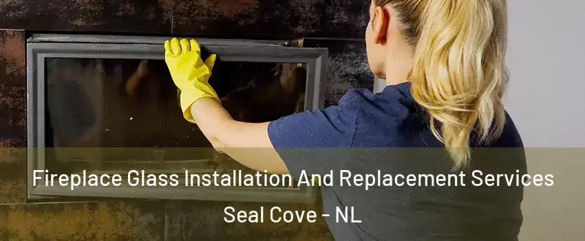  Fireplace Glass Installation And Replacement Services Seal Cove - NL