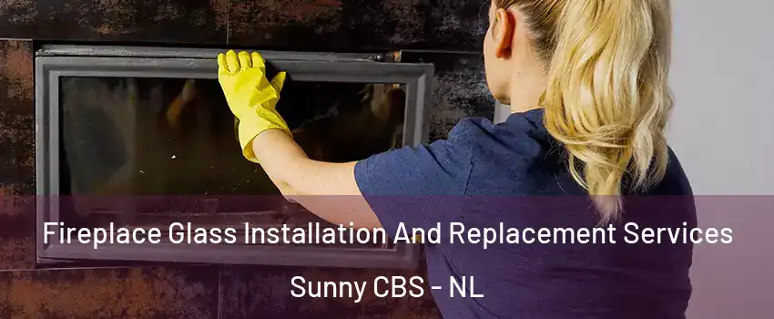  Fireplace Glass Installation And Replacement Services Sunny CBS - NL