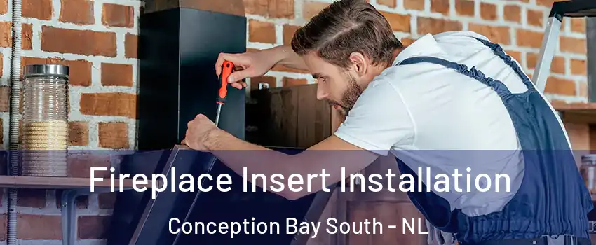  Fireplace Insert Installation Conception Bay South - NL