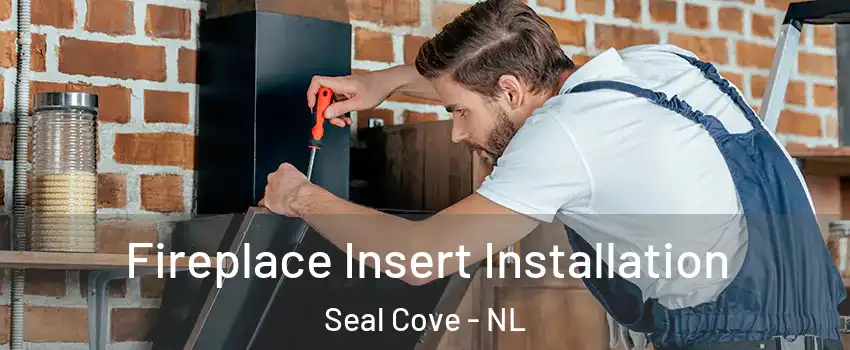  Fireplace Insert Installation Seal Cove - NL