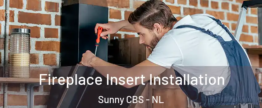  Fireplace Insert Installation Sunny CBS - NL