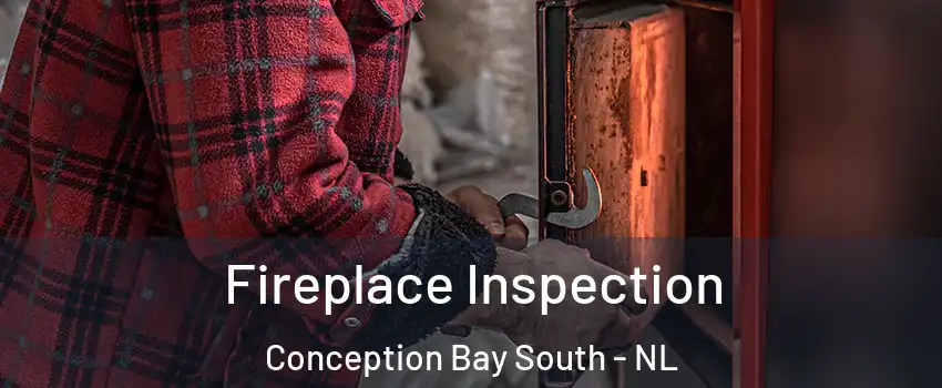  Fireplace Inspection Conception Bay South - NL