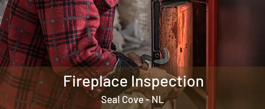  Fireplace Inspection Seal Cove - NL