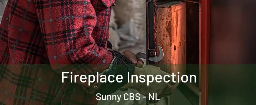  Fireplace Inspection Sunny CBS - NL