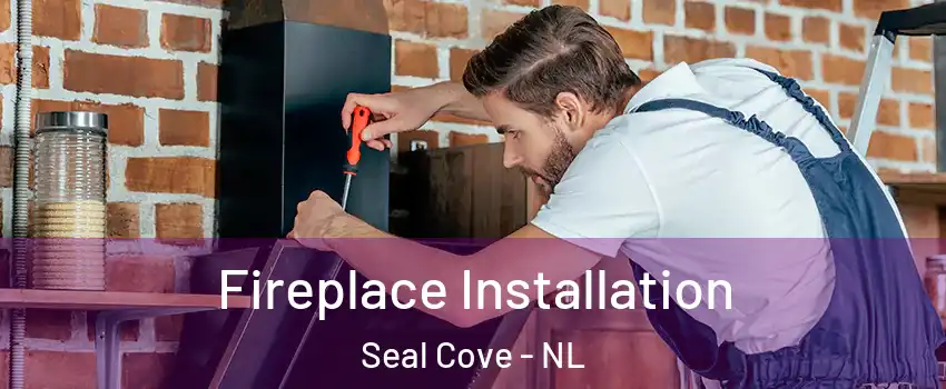  Fireplace Installation Seal Cove - NL