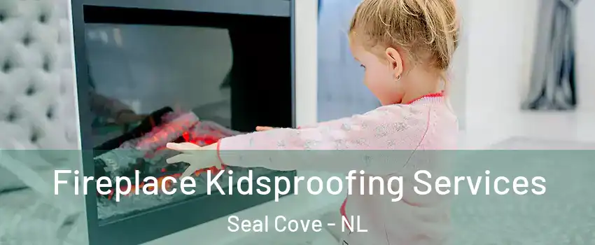 Fireplace Kidsproofing Services Seal Cove - NL