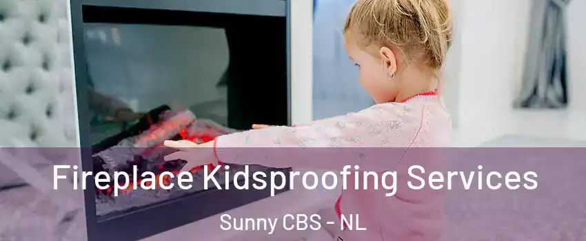  Fireplace Kidsproofing Services Sunny CBS - NL